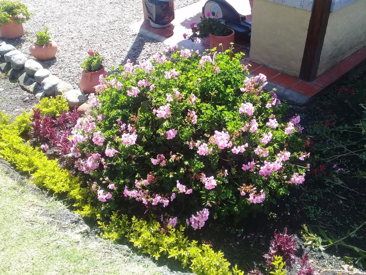Hotel Campestre Franchesca Tabio Bagian luar foto